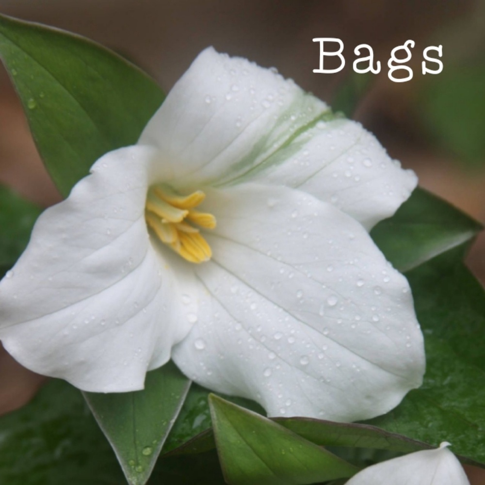 Bags [section]
